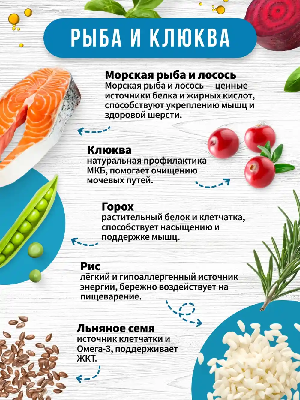 Описание