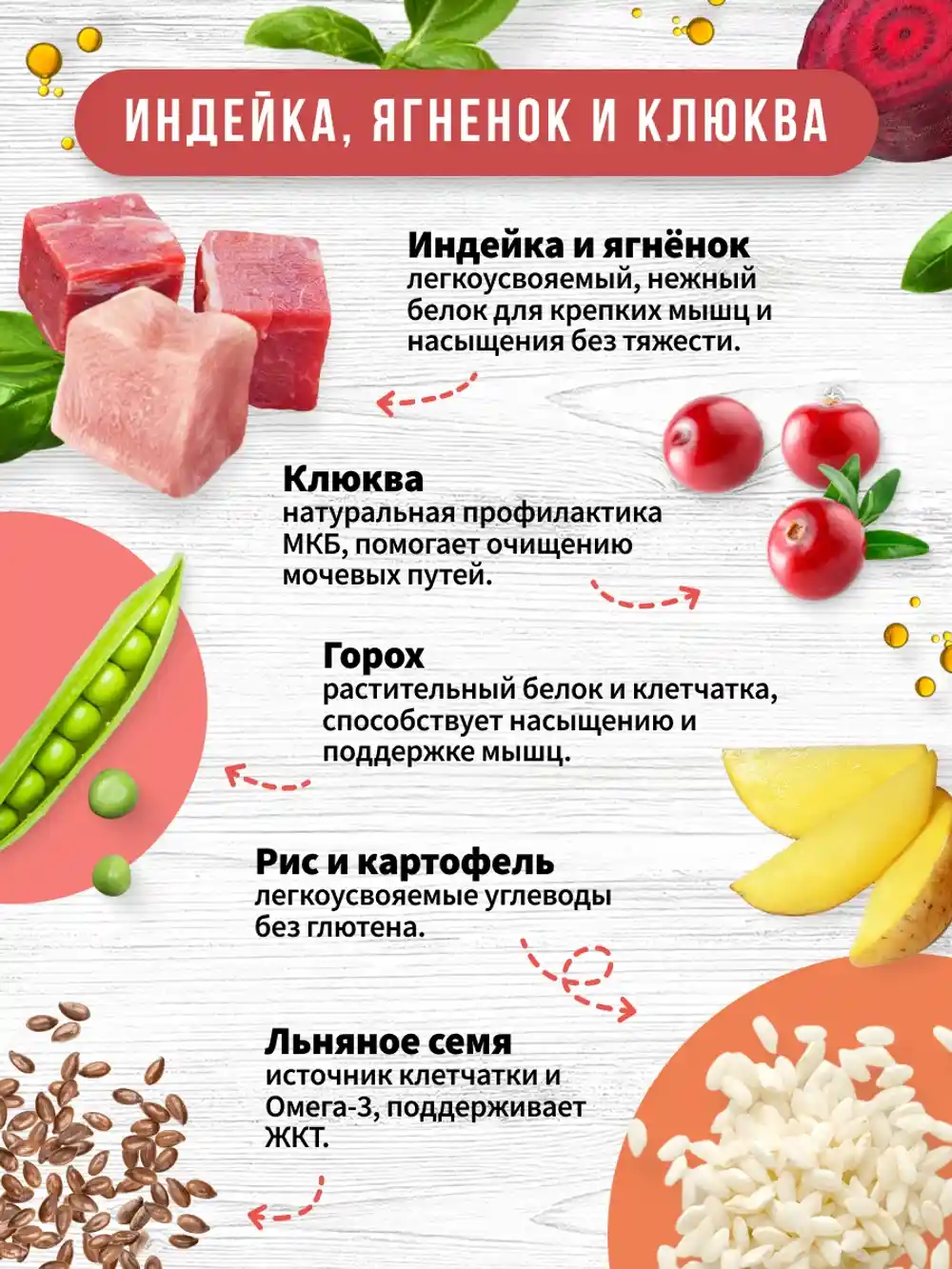Описание