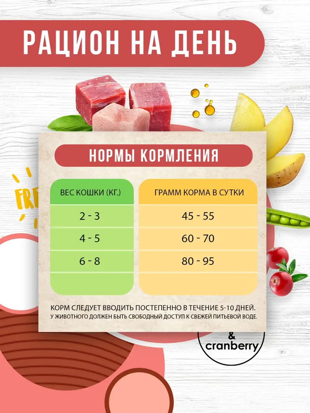 Рацион