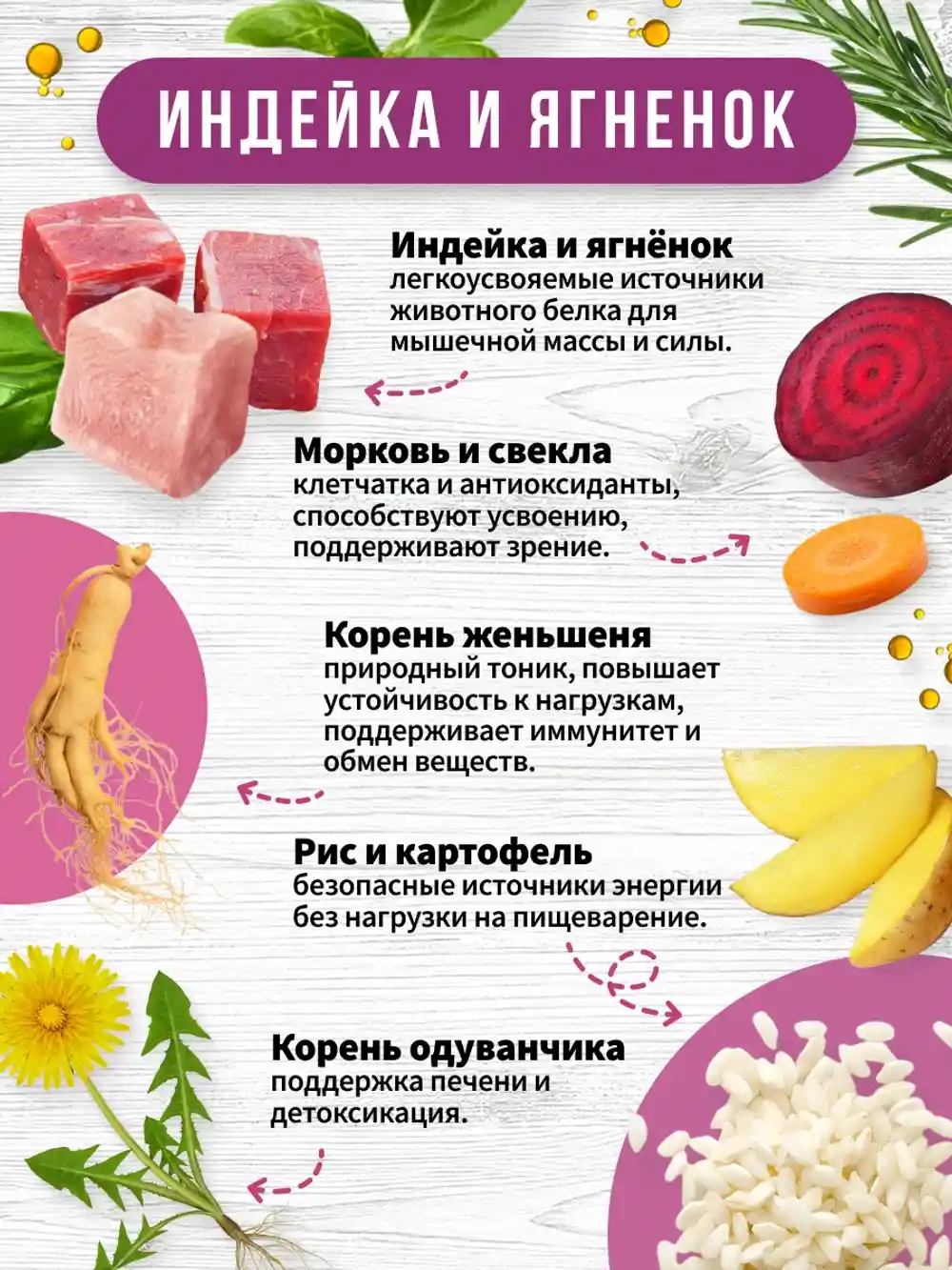 Описание